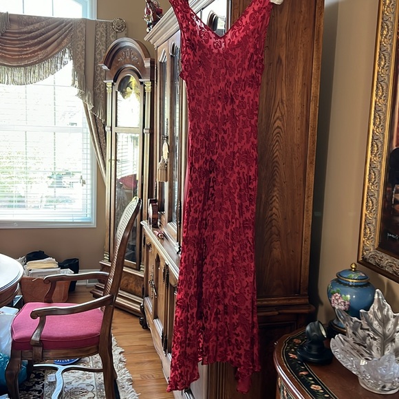 💃🏻💃🏻RED on RED Sexy BurnoutVelvet&Silk biasMaxiDress.SeperateRedSilkSlip.S:6 - Picture 4 of 14
